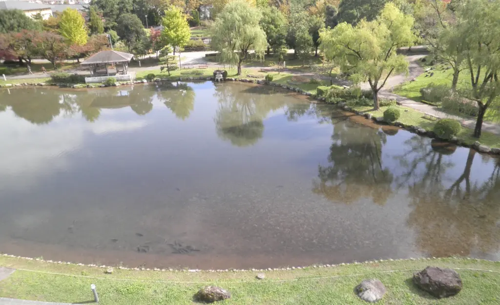 砺波チューリップ公園