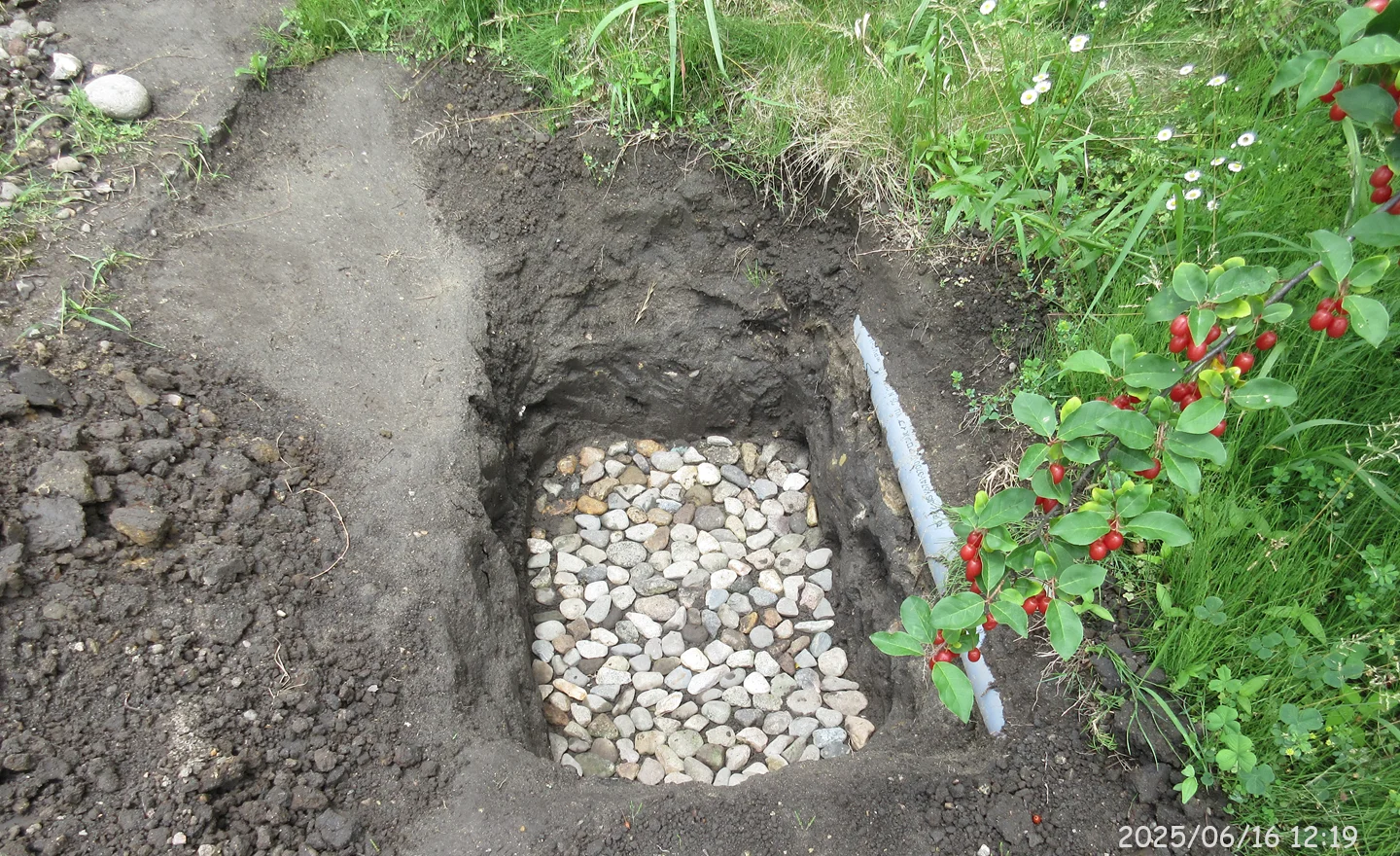 庭園の大規模なメンテナンス（７）