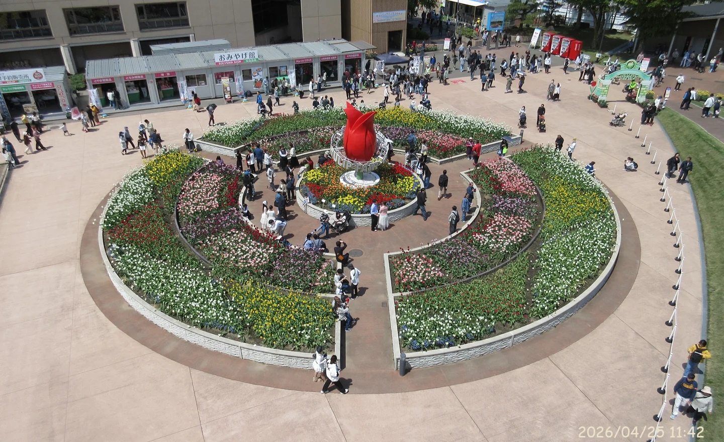Tonami Tulip Fair 75th（３）